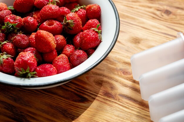 hiro lab mass kong 3000g strawberry