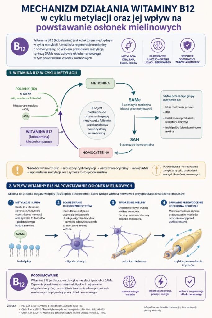 infografika