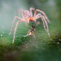 Co brać na poprawę pamięci by wspierać koncentrację i jasność umysłu?